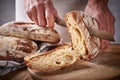 Hands cut organic sourdough bread. Made with Khorasan wheat.