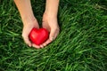 Hands of cute little girl with small heart on green grass outdoors Royalty Free Stock Photo