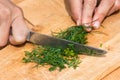 Hands cutting dill on the wooden cutting board Royalty Free Stock Photo
