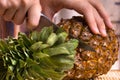 Hands cutting pineapple, closeup Royalty Free Stock Photo