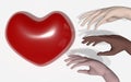 Human hands of different races are drawn to the heart. Palms light skin, dark skin, Asian skin. 3D rendering