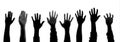Diverse hands raised in unity against a white background, symbolizing solidarity, hope, and collective action, showcasing various Royalty Free Stock Photo