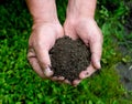 Hands & dirt Royalty Free Stock Photo