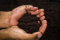 Hands dirty with clay , soil background Royalty Free Stock Photo