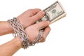 Hands with dollars Royalty Free Stock Photo