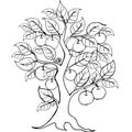 Hands drawing apple tree for the anti stress coloring page. Royalty Free Stock Photo