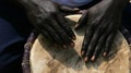 Hands and drum in Gambia Royalty Free Stock Photo