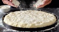Hands Dusting Flour Over Pizza Dough In Pan Royalty Free Stock Photo