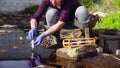 Hands of ecologist taking samples of the water.