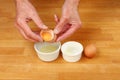 Hands eggs Royalty Free Stock Photo