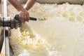 hands of an elderly man opening the tap to let out the curd in the production of fresh cheese.