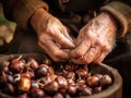 hands of an elderly man in a rustic basket with raw chestnuts