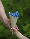 Hands of an elderly person take from the child`s palm a bouquet of wild flowers blue forget me nots in a paper package Royalty Free Stock Photo