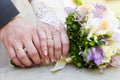 Hands enamoured Royalty Free Stock Photo