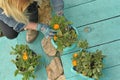 A simple photo of ordinary seasonal gardening.