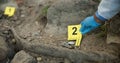 Hands, evidence marker and csi for investigation at crime scene with keys in ground or hazmat for safety in forest Royalty Free Stock Photo