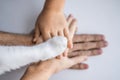 The hands of the family and the furry paw of the cat as a team. Fighting for animal rights, helping animals Royalty Free Stock Photo