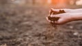 The hands of the farmer crush with pour out the soil over the field. Spring work Royalty Free Stock Photo