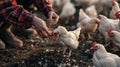The Farmer Feeding Chickens.AI generated image Royalty Free Stock Photo