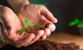 Hands of farmer growing and nurturing plant growing on fertile soil. nurturing baby plant. protect nature. Earth day Royalty Free Stock Photo