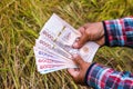 Hands farmer are holding thai banknote in rice field, money thai baht in hand farmer, hand are holding money banknote of thailand Royalty Free Stock Photo