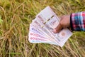 Hands farmer are holding thai banknote in rice field, money thai baht in hand farmer, hand are holding money banknote of thailand Royalty Free Stock Photo