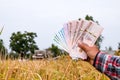 Hands farmer are holding thai banknote in rice field, money thai baht in hand farmer, hand are holding money banknote of thailand Royalty Free Stock Photo