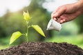 Hands of farmer  nurturing tree growing on fertile soil,  Maintenance of growing seedlings,  Hands protect trees,   plant trees to Royalty Free Stock Photo