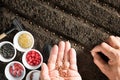 Hands of farmer planting seeds in soil Royalty Free Stock Photo