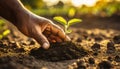 Hands of a Farmer Planting a Small Green Plant - Generative Ai