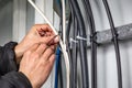 Hands fasten the ties on the cable, which are on the cable tray. Close-up. Horizontal orientation. Royalty Free Stock Photo