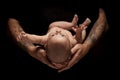 Hands of Father and Mother Hold Newborn Baby on Black Royalty Free Stock Photo