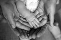 Hands of father, mother, keep little feet baby. Friendly happy family, hands families together black and white photo