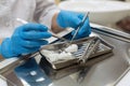 Hands female dentist holding dental tools over medical office background. Royalty Free Stock Photo