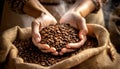 Hands of a Female Farmer Holding Roasted Coffee Beans - Generative Ai