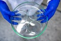 Hands of a female researcher carrying out research in a chemistry lab Royalty Free Stock Photo