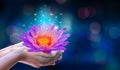 In the hands of a flower lotus Pink light purple floating light sparkle purple background Royalty Free Stock Photo