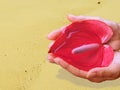 Hands with flower & water of life in desert. Royalty Free Stock Photo