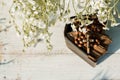 Hands folded in prayer over old Holy Bible. Wooden background.Hands and rosary, prayer, old book with yellow pages. white flowers Royalty Free Stock Photo