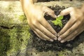 Hands forming a heart shape around a tree growing. Royalty Free Stock Photo