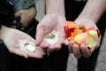 Hands full of rose petals and rice and coins Royalty Free Stock Photo