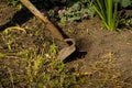 Hands gardener remove weeds from the garden with a tool