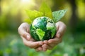 Hands gently cradling a small globe with a green map, symbolizing Earth. Emerging Royalty Free Stock Photo