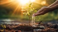 hands gently water the young plant, symbolizing nurturing and growth. Royalty Free Stock Photo