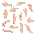 Hands gestures. Realistic detailed anatomic people body parts human hands palm and fingers decent vector template