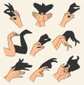 Hands gestures shadow set. Gaming animal puppets from hands. Light shade imagination ingenious. Hand play theatrical