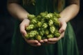 Hands of a girl holding a handful of green hop cones