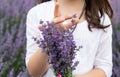 Bouquet of lavender in the hands of a girl with long hair