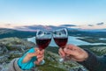 Hands with glasses of red wine cheers on mountain top during sunset with pink skies and lake in the background. Royalty Free Stock Photo