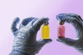 Hands in glove hold multi-colored vials on pink background Royalty Free Stock Photo